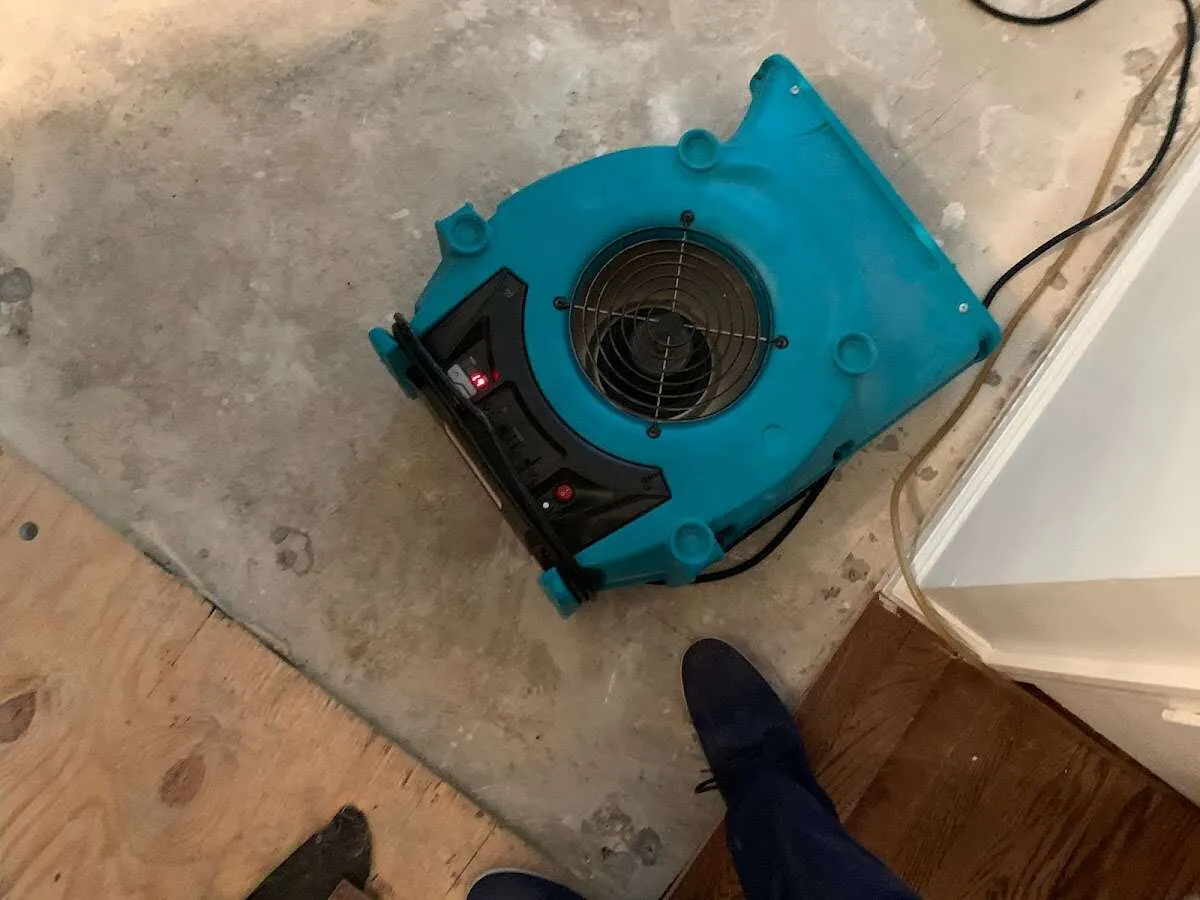 Air mover drying subfloor during Commercial Water Damage Restoration in Pulaski